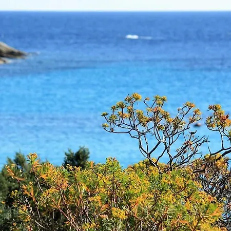 Nyaraló I Mandorli 1 Con Giardino *